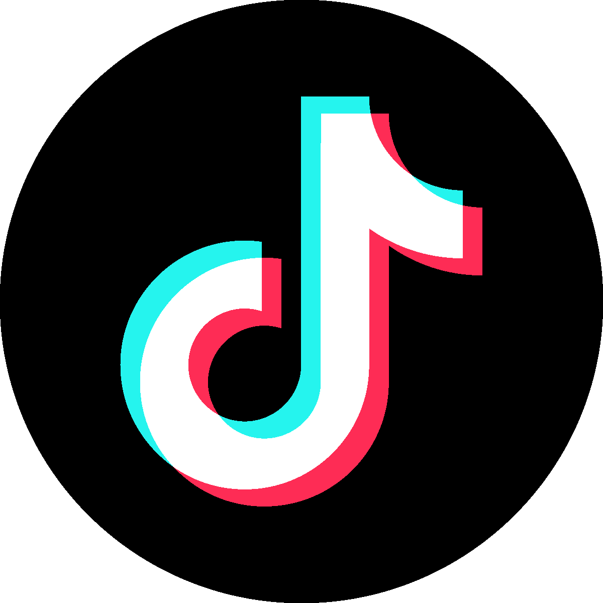 Visit TikTok Profile